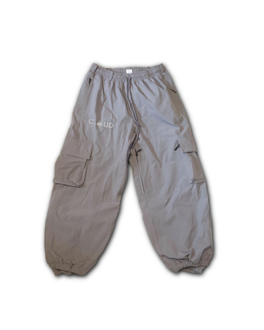 V3 Snow Pants - Grey